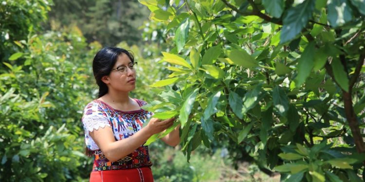 Agromujer impulsa nuevas oportunidades para jóvenes de Oriente