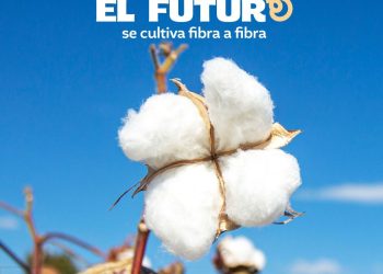 7 de octubre | Día Internacional del Algodón
