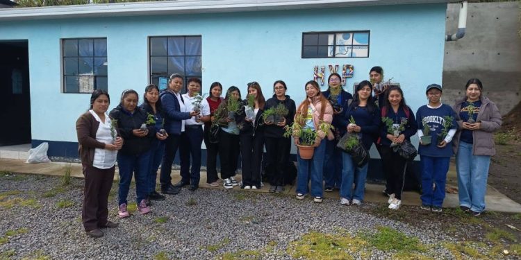Huerto medicinal promueve saberes tradicionales e interculturalidad en Olintepeque