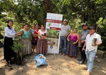 Familias rurales de Petén fortalecen la diversificación de sus huertos