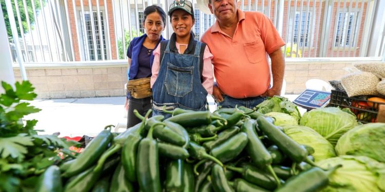 Agronegocios brinda oportunidades de conexión comercial agropecuaria en la capital