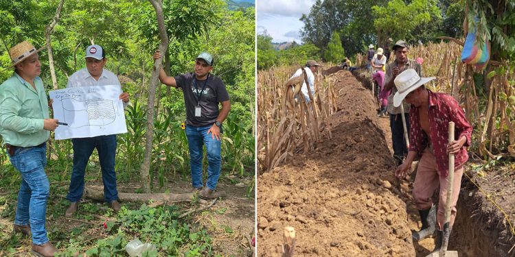 Prácticas agrícolas sostenibles mejoran la infiltración hídrica