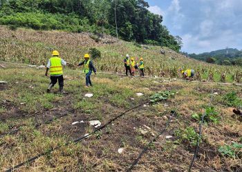 Aprovechan agua pluvial para impulsar la producción agrícola sostenible