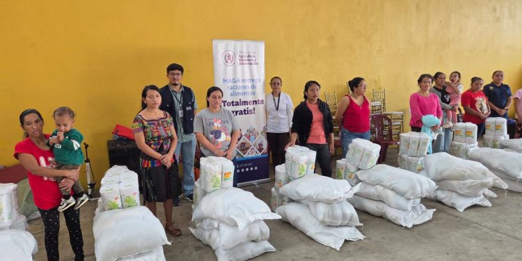 Asistencia alimentaria llega a más de 13 mil familias