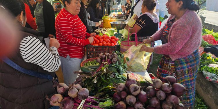Hortalizas y frutas frescas para fiambre en la Feria del Agricultor de Quetzaltenango
