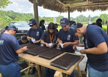 Jóvenes del Servicio Cívico aprenden en Petén la producción de pilones de hortalizas