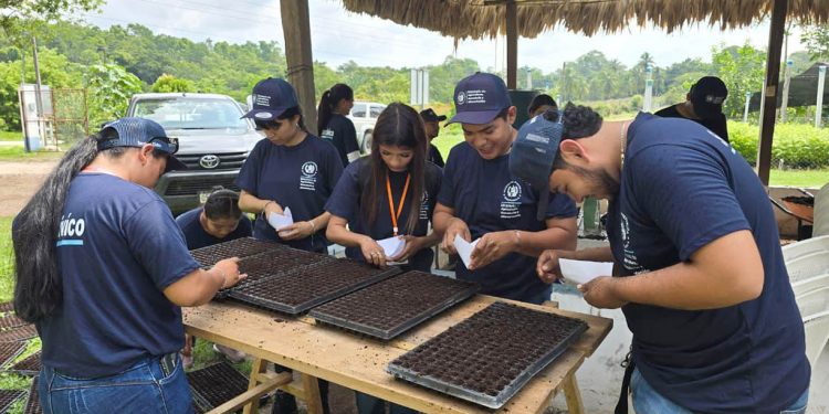 Jóvenes del Servicio Cívico aprenden en Petén la producción de pilones de hortalizas