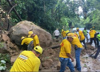 Retiran derrumbe y árbol caído en la CA-9 Norte, en Izabal
