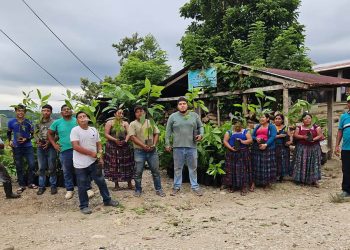 Continúa impulso del cultivo de cacao en comunidades de Poptún y San Luis
