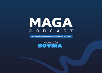 MAGA Podcast en Spotify | Vacunación Bovina