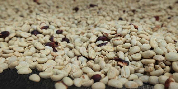 1 de octubre | Día Internacional del Café