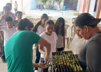 Entregan 300 pilones de hortalizas a alumnos de San Diego para promover el autoconsumo