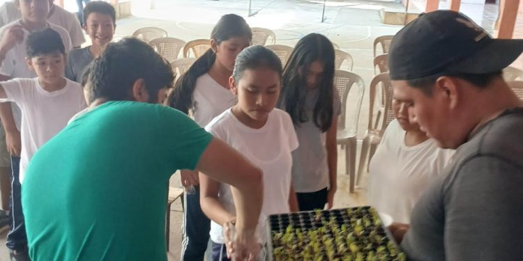 Entregan 300 pilones de hortalizas a alumnos de San Diego para promover el autoconsumo