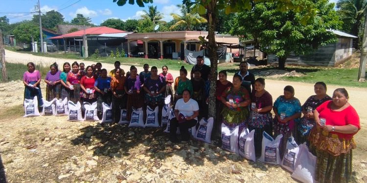 Entregan semillas de maíz y ayote a familias agricultoras de Petén