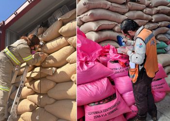 Establecen inspección basada en riesgo para importaciones agropecuarias