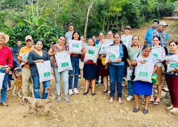 Establecen parcelas demostrativas de frijol biofortificado ICTA Tahual, en Santa Cruz El Chol