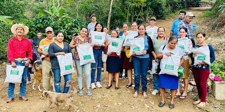 Establecen parcelas demostrativas de frijol biofortificado ICTA Tahual, en Santa Cruz El Chol