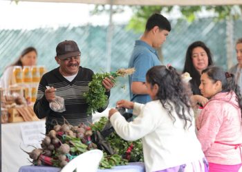 ¡A petición popular! Feria del Agricultor regresa al parque Erick Barrondo