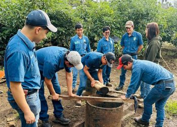 Fortalecen capacidades técnicas para la conservación de suelos y agua en la formación forestal