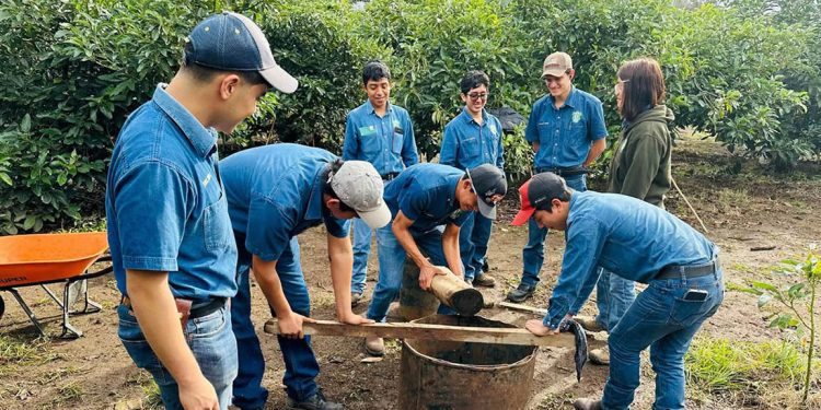 Fortalecen capacidades técnicas para la conservación de suelos y agua en la formación forestal