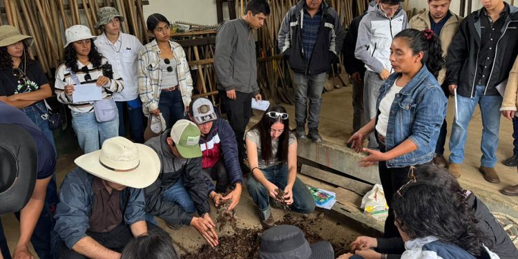 Fortalecen capacidades técnicas relativas a bioinsumos agrícolas en la EFA de Sololá