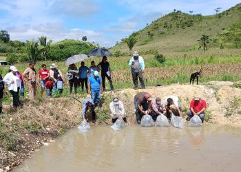 Fortalecen producción acuícola  de productores de Las Cruces, Petén