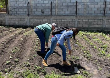 Frente frío traerá lluvias que aumentan la vulnerabilidad de cultivos