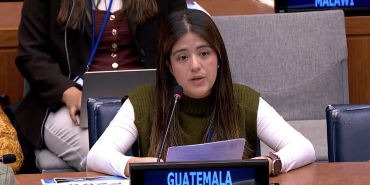 Guatemala destaca en la ONU la importancia de combatir el tráfico ilícito de armas
