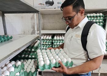 Pruebas de laboratorio reportan resultados negativos en muestras de huevo