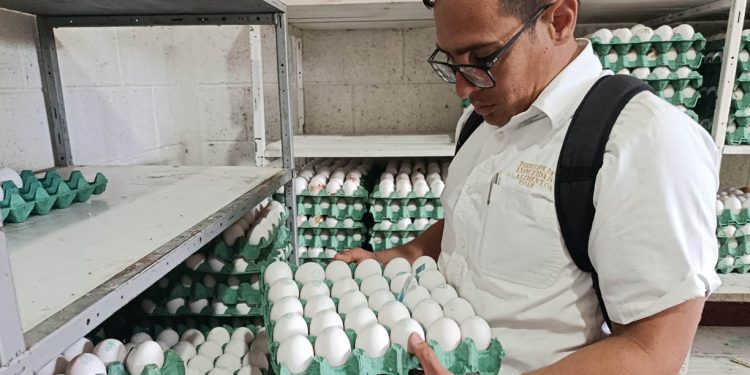 Pruebas de laboratorio reportan resultados negativos en muestras de huevo