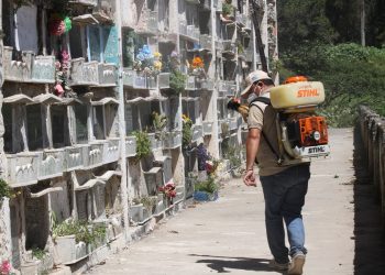 Fumigación en el Cementerio La Verbena busca prevenir enfermedades como el dengue durante las visitas por el Día de los Santos