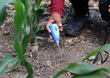 Impulsamos prácticas agrícolas que protegen la producción de alimentos