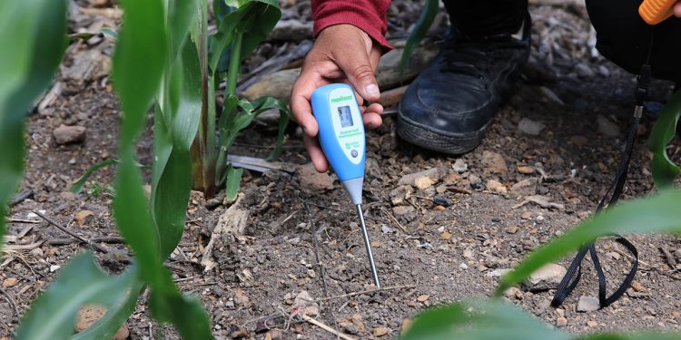 Impulsamos prácticas agrícolas que protegen la producción de alimentos