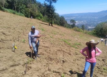 Impulsan prácticas para conservar los suelos y aprovechar el agua de lluvia