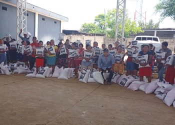 Insumos fortalecen la producción de alimentos en hogares rurales