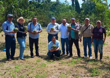 Intercambio de experiencias en manejo frutícola impulsa aprendizaje en Quetzaltenango