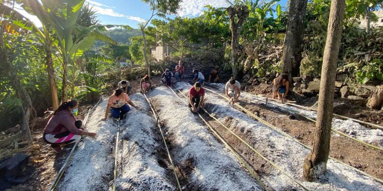 Jóvenes de El Adelanto mejoran conocimientos agrícolas con nuevo huerto pedagógico