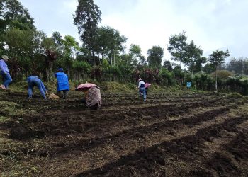 Lluvias podrían afectar cultivos por ello se monitorea 141 municipios