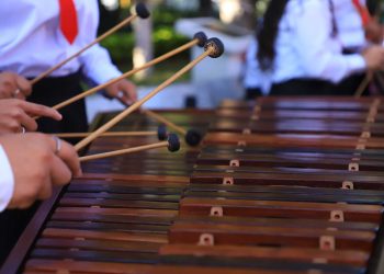 Mineduc crea el Magisterio de Educación Musical para formar  nuevos docentes en las Escuelas Normales con Especialidades