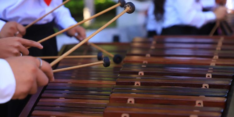 Mineduc crea el Magisterio de Educación Musical para formar  nuevos docentes en las Escuelas Normales con Especialidades