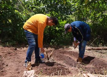 Mineduc prioriza educación financiera, salud mental y medioambiente  en el Acuerdo Nacional de Educación tras consulta a más de 89 mil jóvenes
