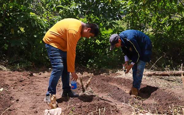 Mineduc prioriza educación financiera, salud mental y medioambiente  en el Acuerdo Nacional de Educación tras consulta a más de 89 mil jóvenes