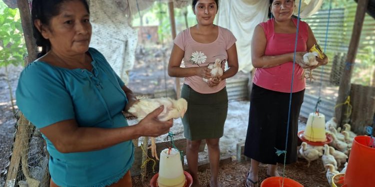 Mujeres de Purushila transforman su economía con emprendimiento avícola