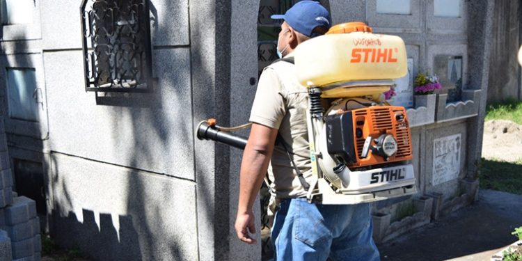 Día de los Santos: Desarrollan jornadas de fumigación para prevenir el dengue en el Cementerio General