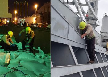 Nuevo procedimiento de inspección agiliza la atención de buques cargueros