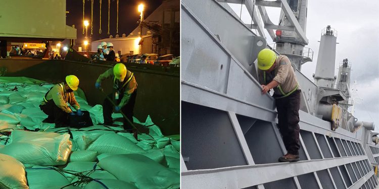 Nuevo procedimiento de inspección agiliza la atención de buques cargueros