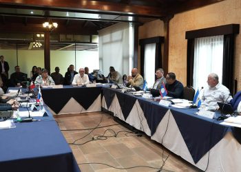 Países de la región del OIRSA acuerdan fortalecer la sanidad agropecuaria en 2027