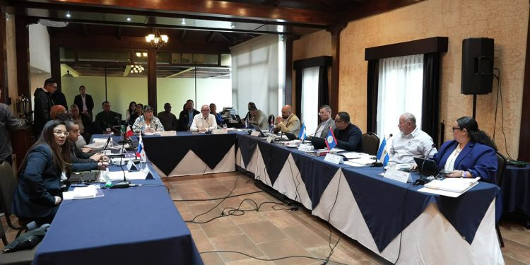 Países de la región del OIRSA acuerdan fortalecer la sanidad agropecuaria en 2027