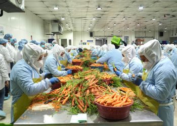 Pequeños productores encuentran en la exportación una vía para generar empleo y mover la economía local