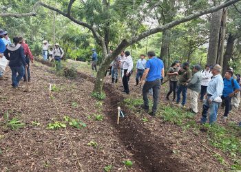 Ponen en práctica diseño de Keyline para aprovechar mejor el agua de lluvia